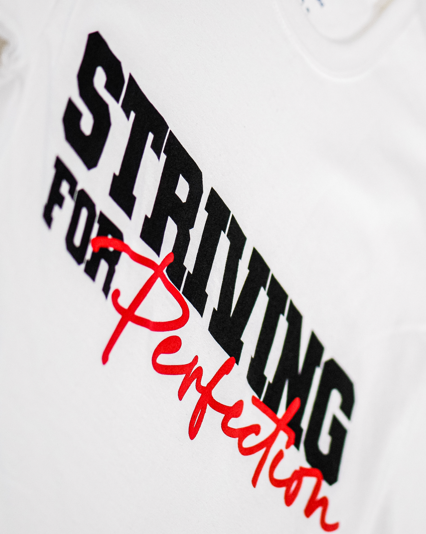 Striving for Perfection - Champion T-Shirt - White